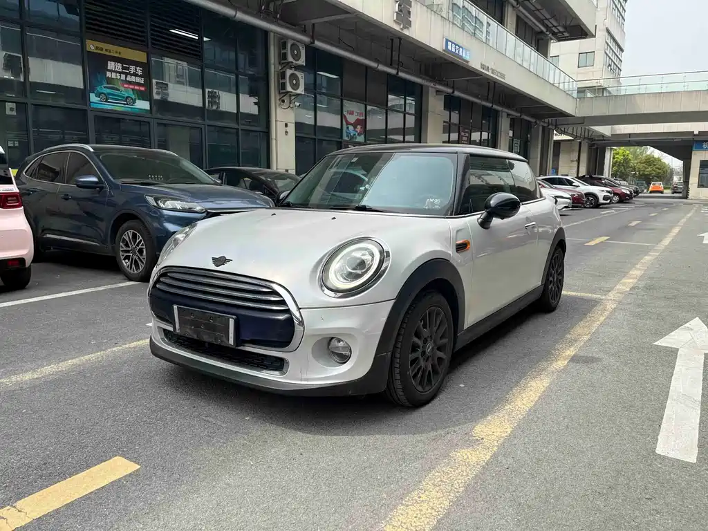 Mini Mini 2015