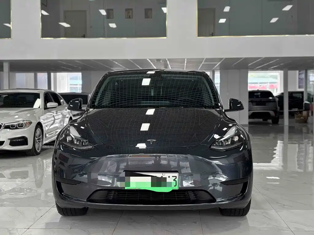 Tesla Model Y — миниатюра 2