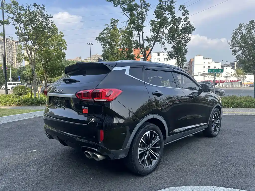 Wey Wey VV6 — миниатюра 13