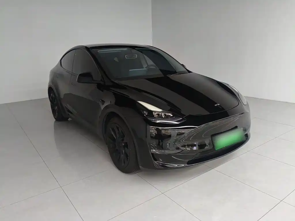 Tesla Model Y — миниатюра 4