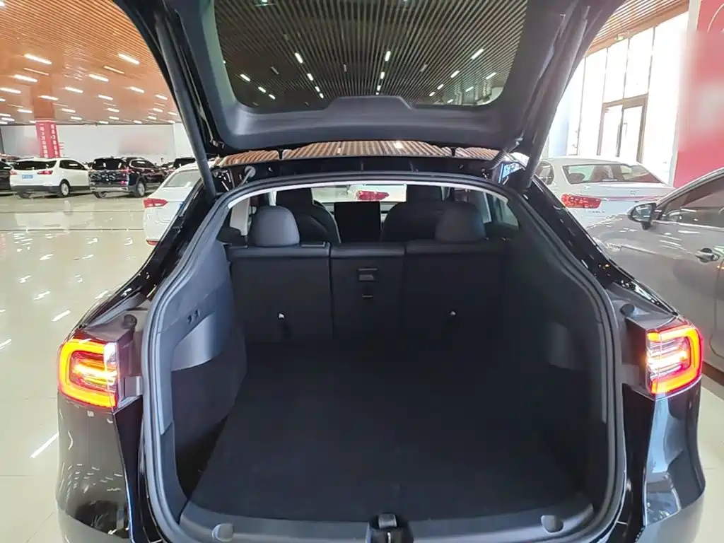 Tesla Model Y — миниатюра 19