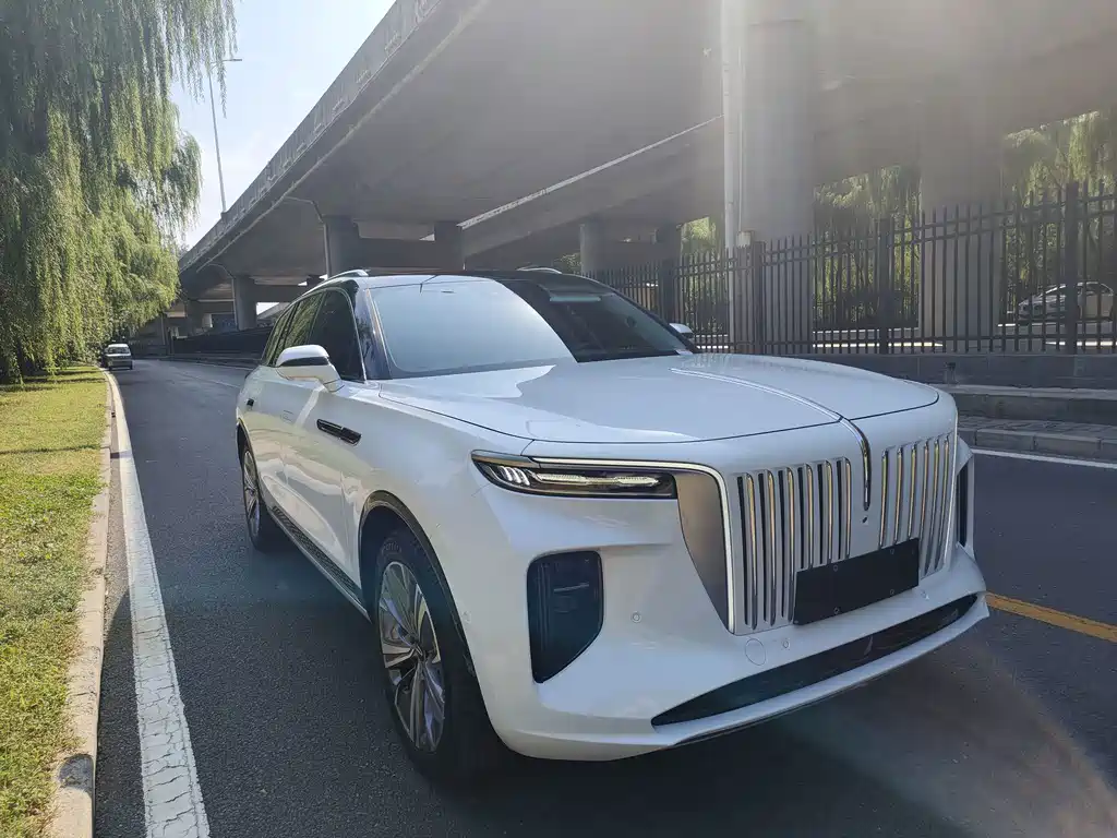 Hongqi Hongqi E-HS9 — миниатюра 3