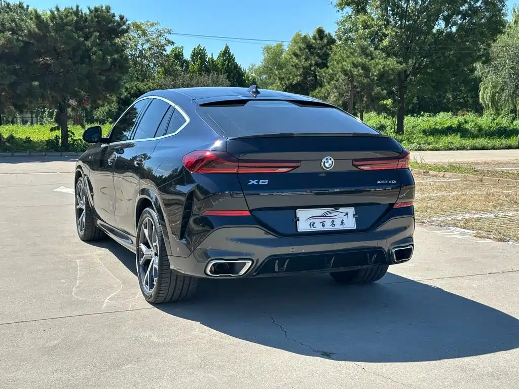 BMW X6 — миниатюра 4