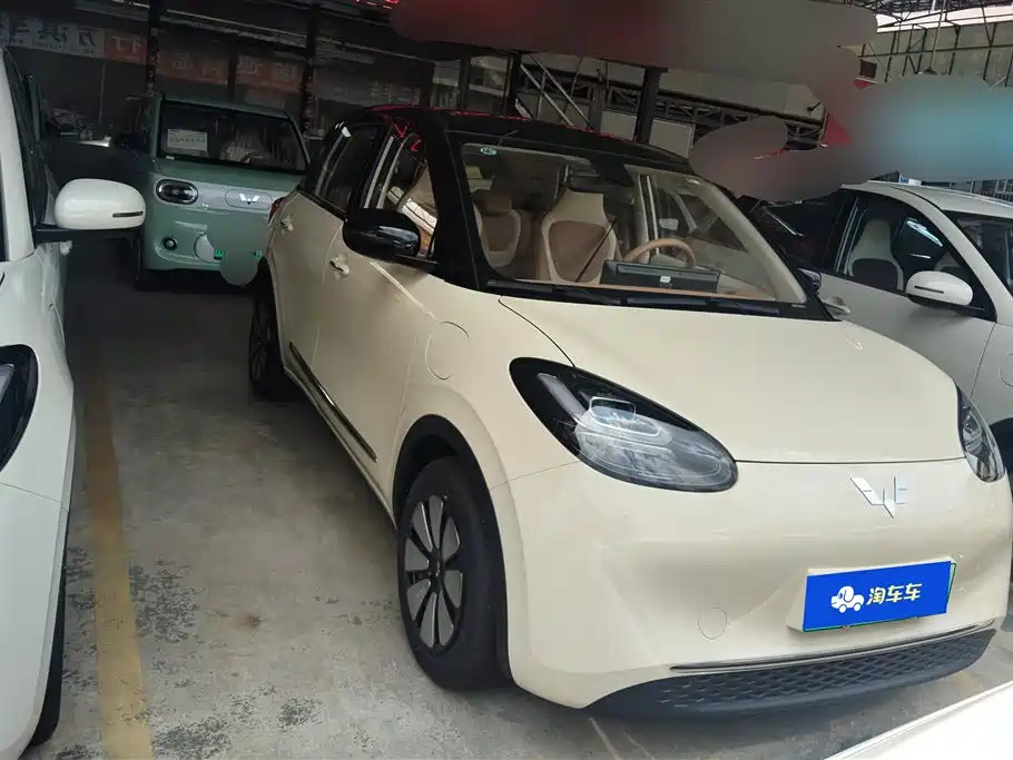 Wuling Binguo 2025 333km Enjoy