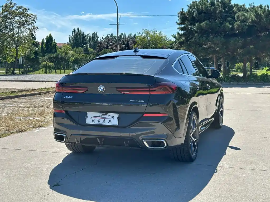 BMW X6 — миниатюра 6