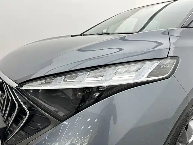 Haima Haima 7X — миниатюра 18