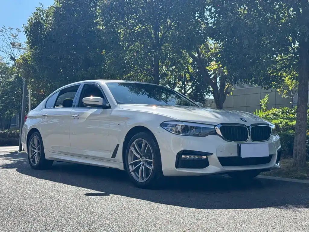BMW 5 Series — миниатюра 5