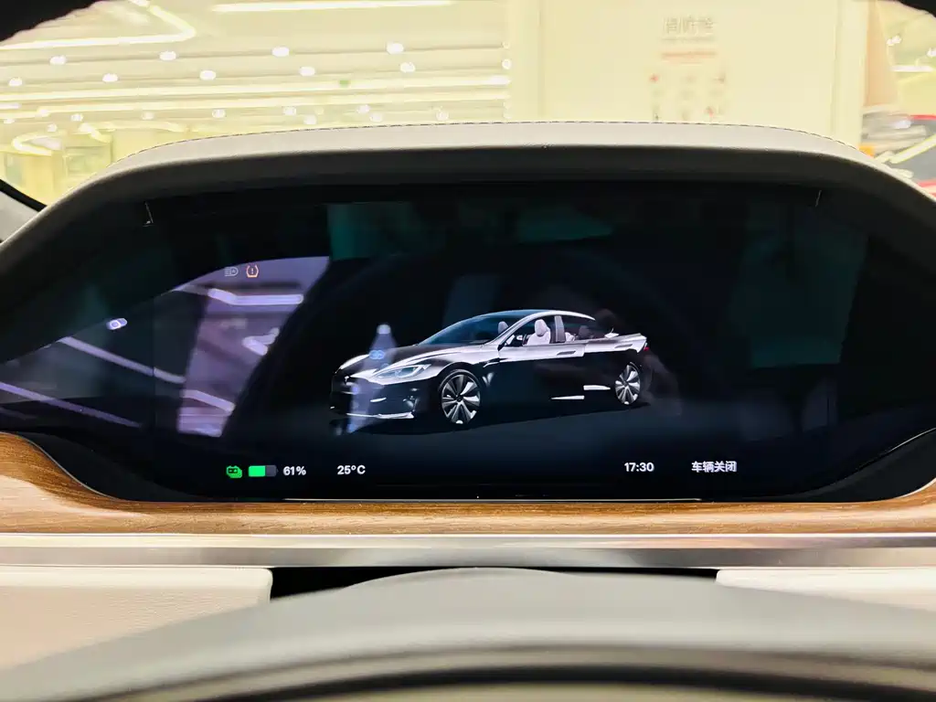 Tesla Model S — миниатюра 6