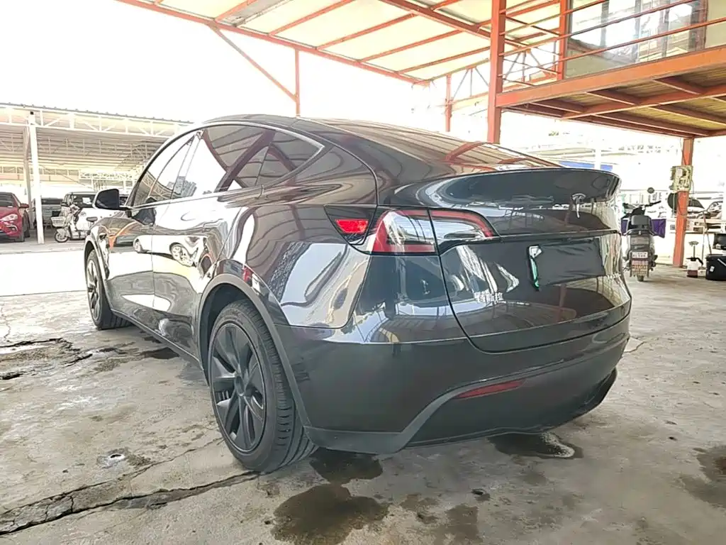 Tesla Model Y — миниатюра 5