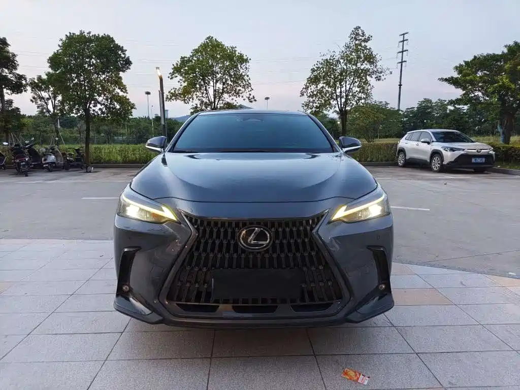 Lexus NX — миниатюра 2