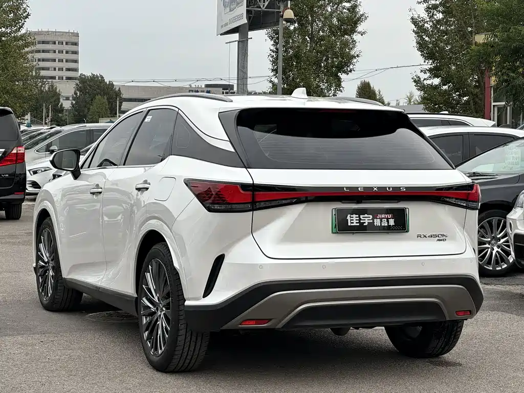 LEXUS RX NEW ENERGY