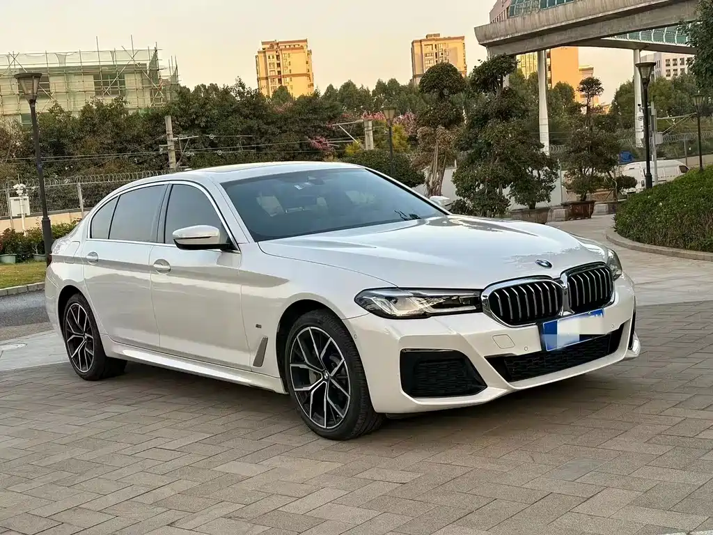 BMW 5 SERIES