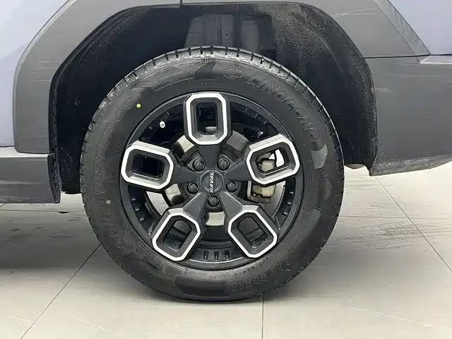 Haval Cool Dog — миниатюра 19