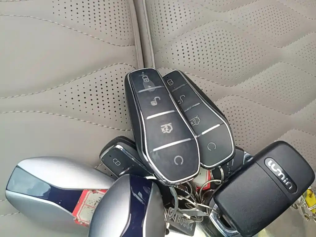 BYD Tang 2025 Smart Drive DM-i 115KM Flagship