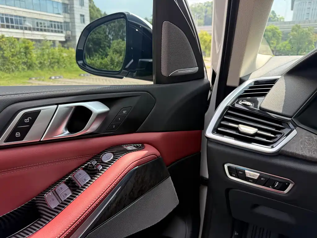 BMW X5 — миниатюра 7