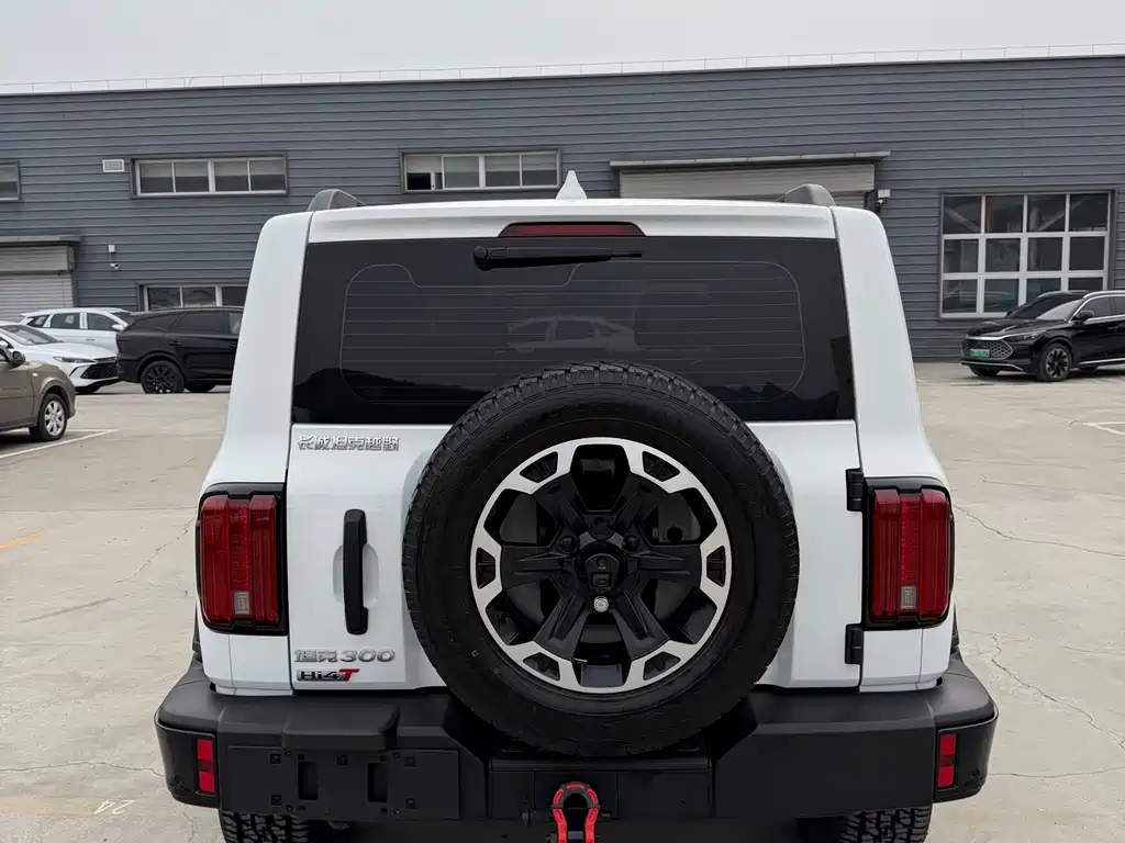 TANK TANK 300 NEW ENERGY