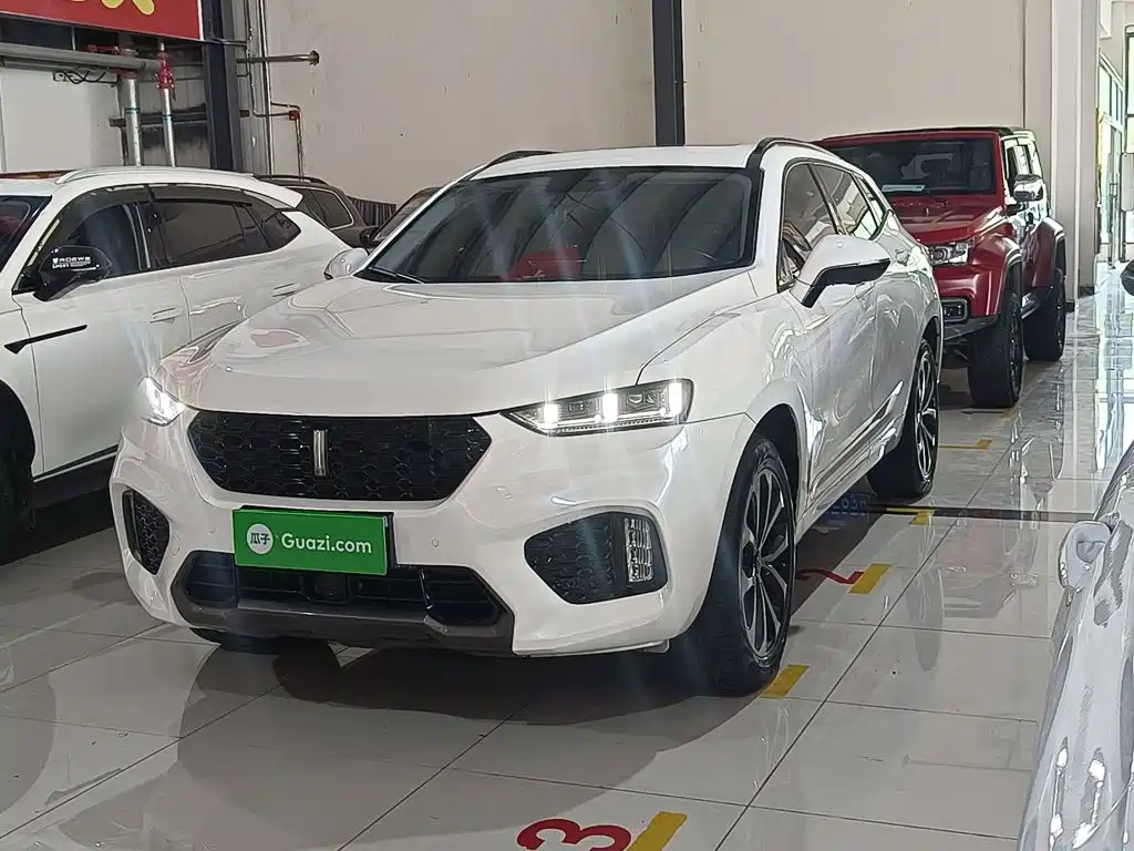 Wey Wey VV7