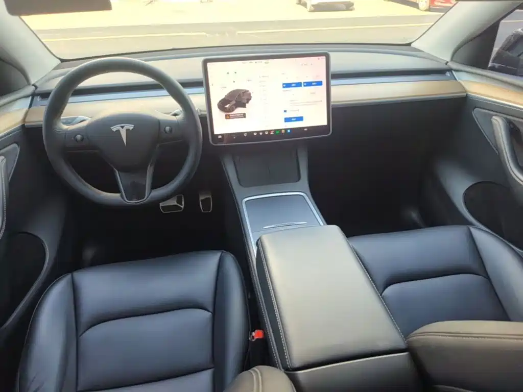 Tesla Model Y — миниатюра 10