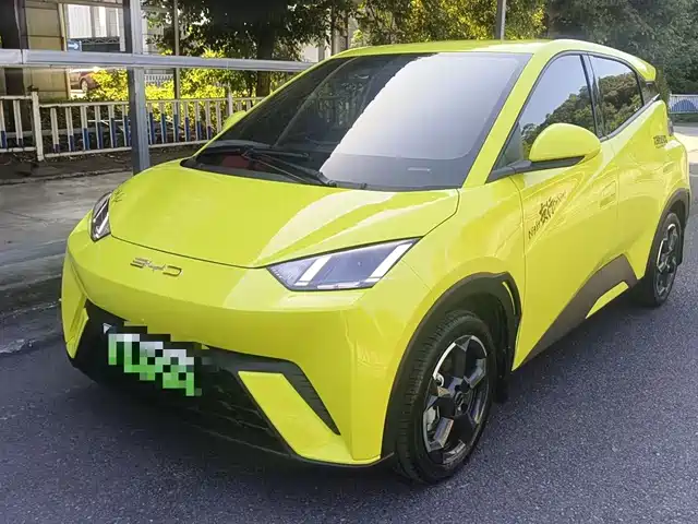 2024 BYD Seagull