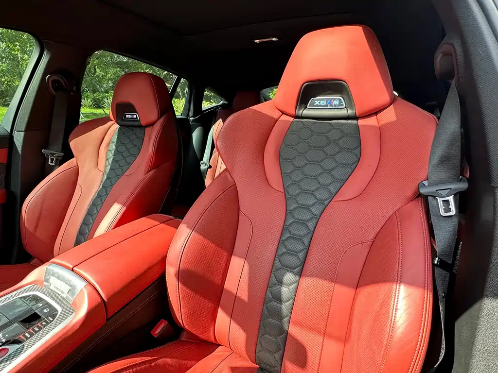 BMW X6 M X6 M, фото 9