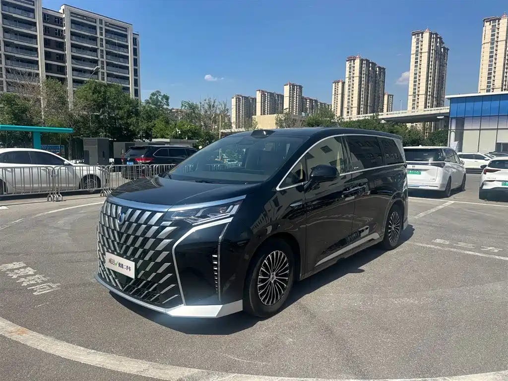 Denza D9