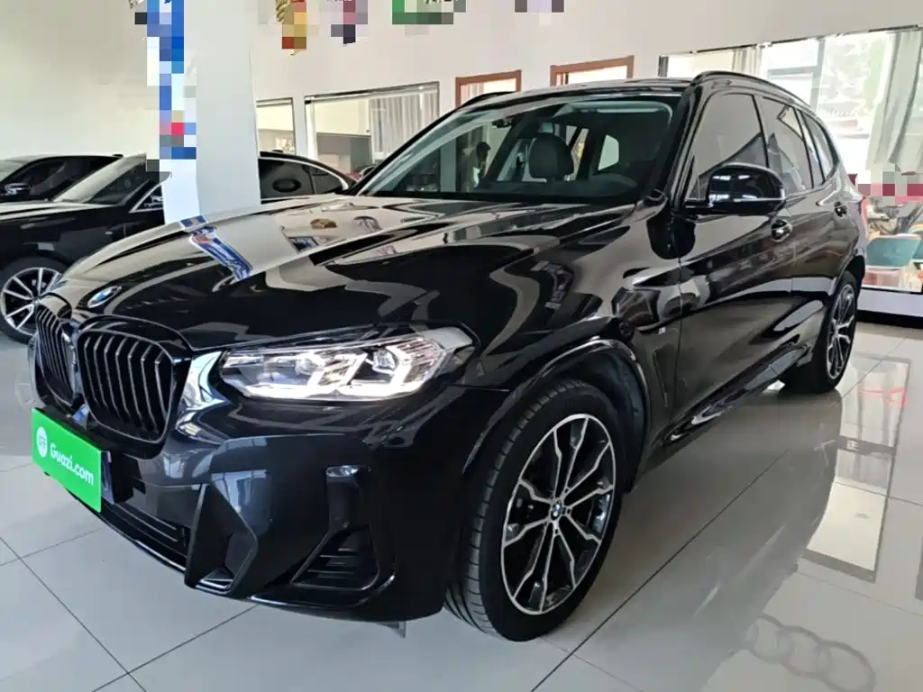 BMW X3 — миниатюра 2