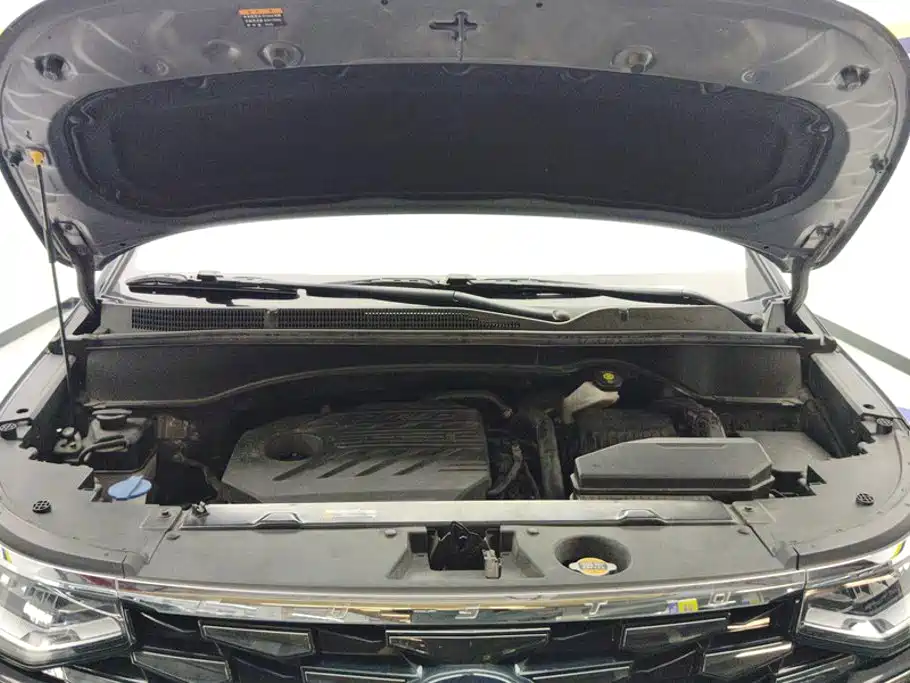 Hyundai Custo — миниатюра 10