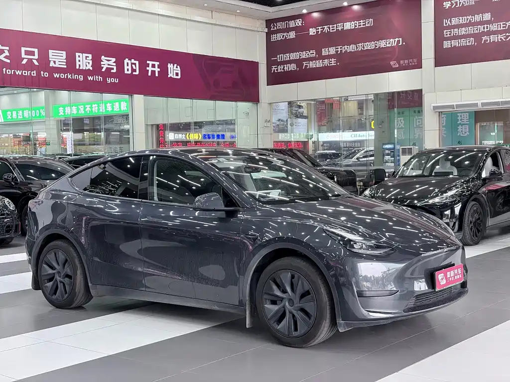 Tesla Model Y — миниатюра 2