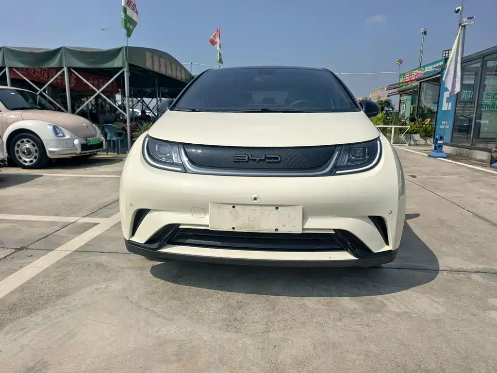 BYD Dolphin — миниатюра 2