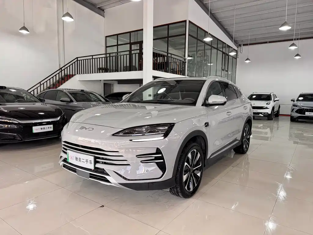 BYD SONGJIANG NEW ENERGY