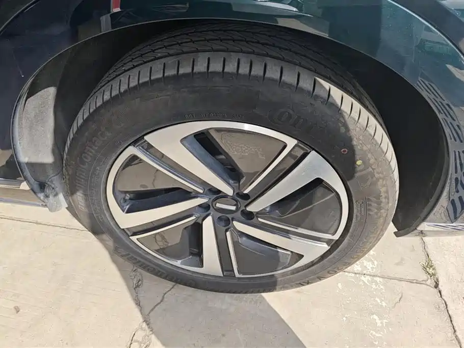 WEI PAI WEI BRAND BLUE MOUNTAIN