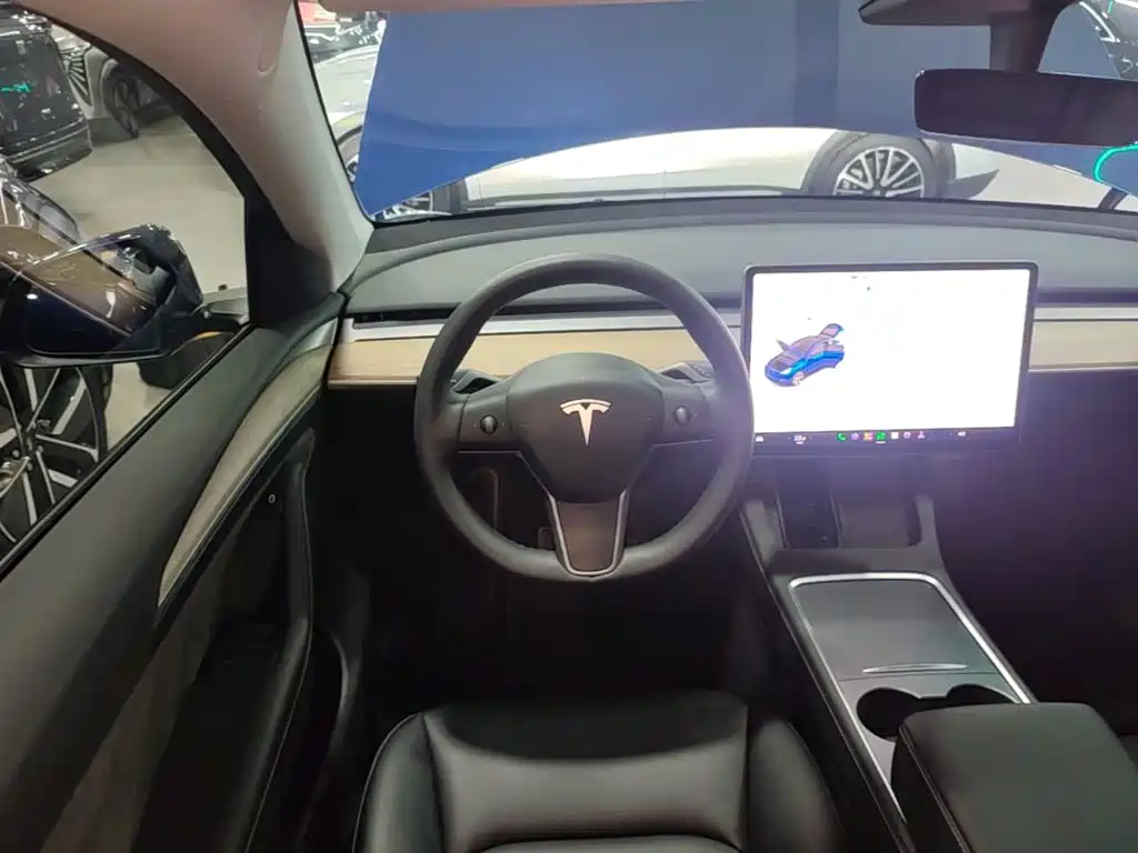 Tesla Model Y — миниатюра 11