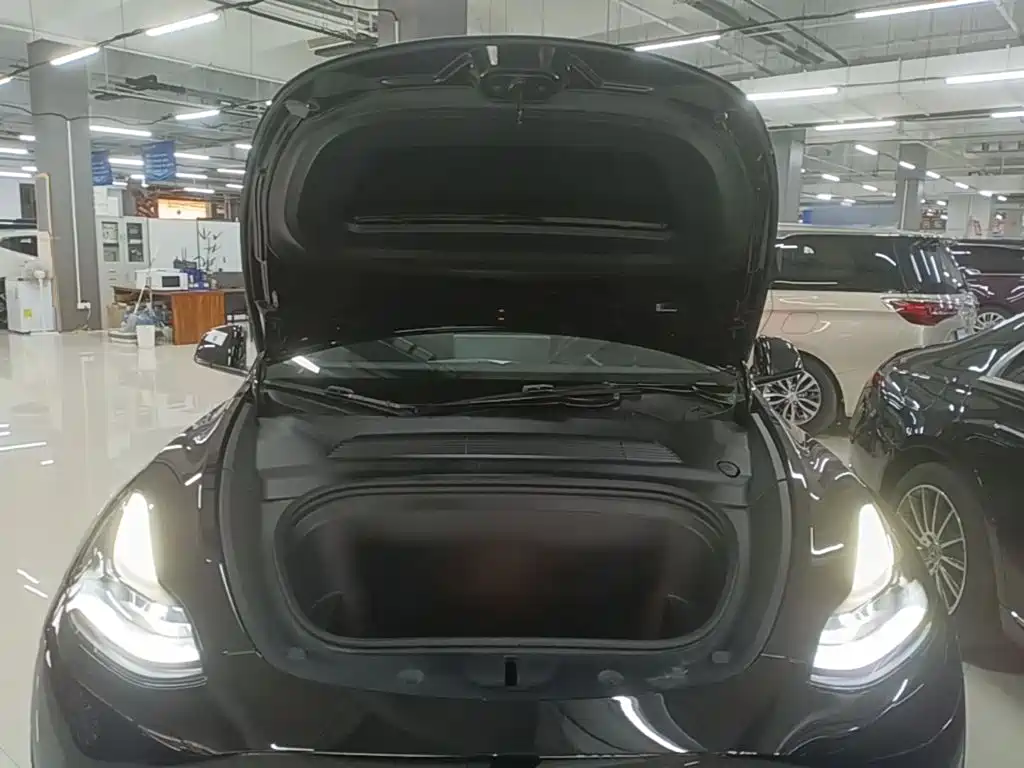 Tesla Model Y — миниатюра 20