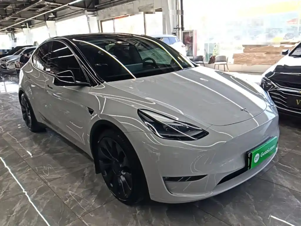 Tesla Model Y — миниатюра 4