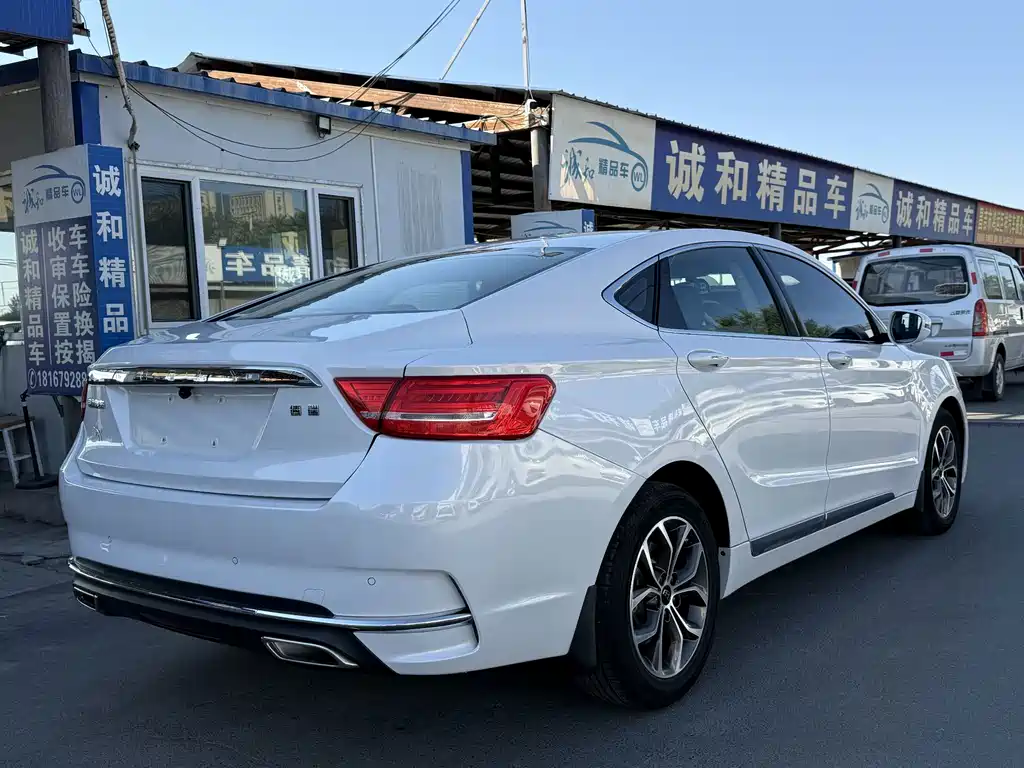 Geely Borui 2.4L Comfort Type, фото 7