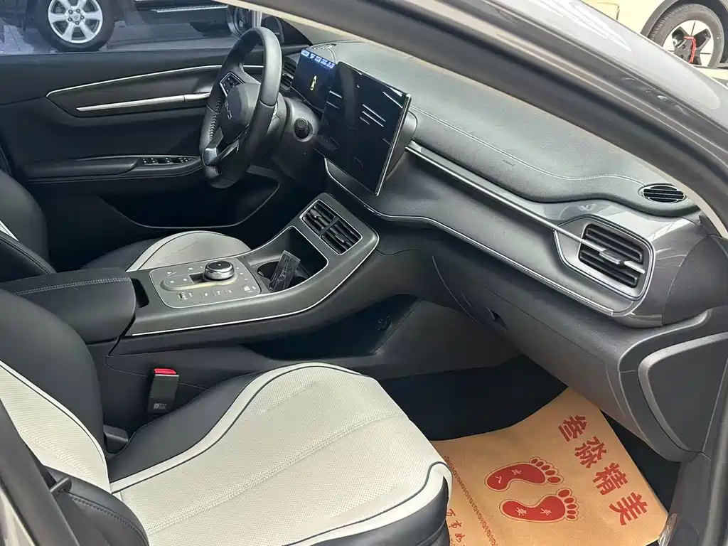 BYD Destroyer 05 2024 DM-i 55KM Luxury