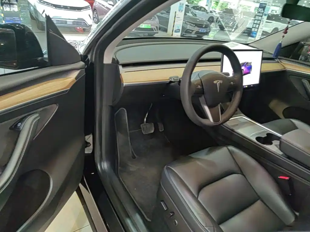Tesla Model Y — миниатюра 16