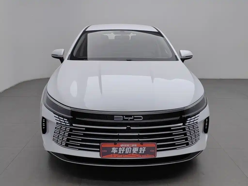 BYD Destroyer 05 — миниатюра 3