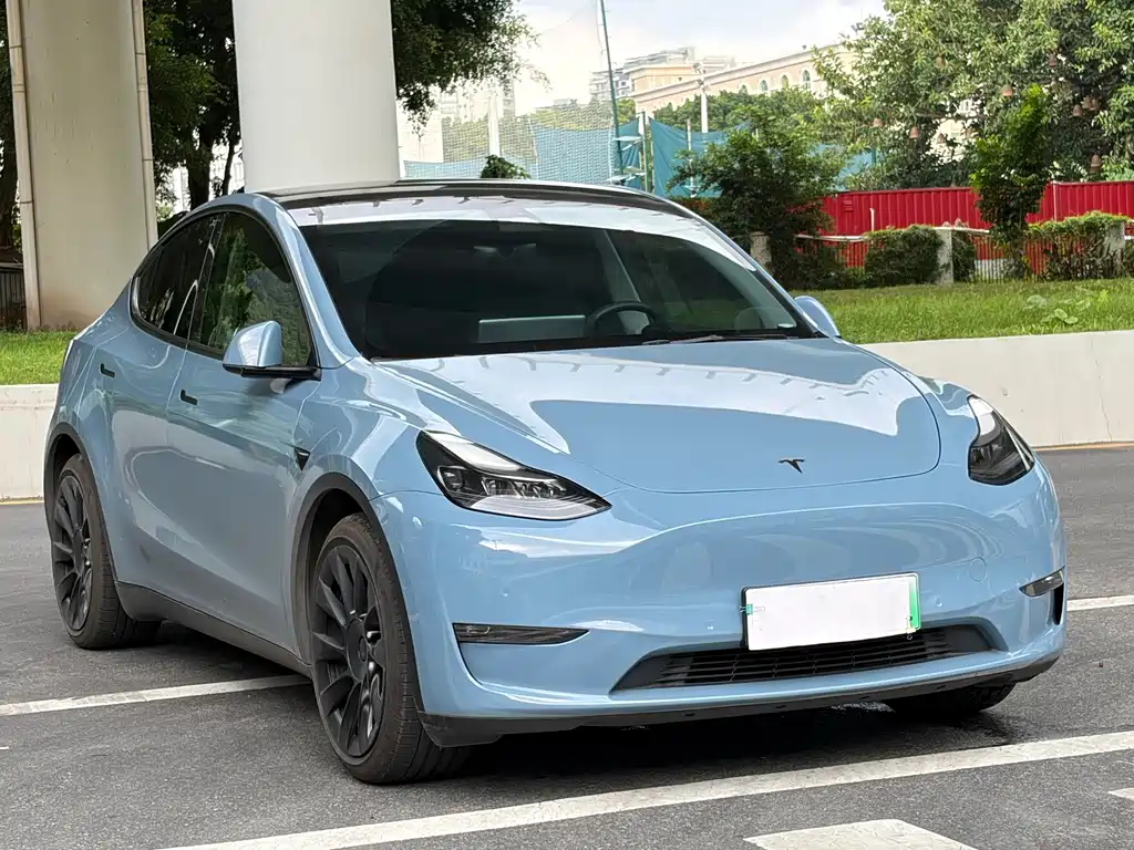 Tesla Model Y — миниатюра 3