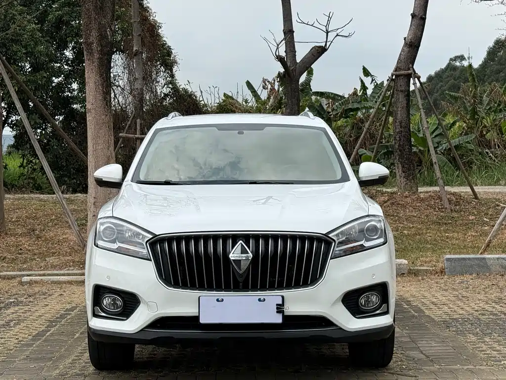 BORGWARD BAOWO BX7