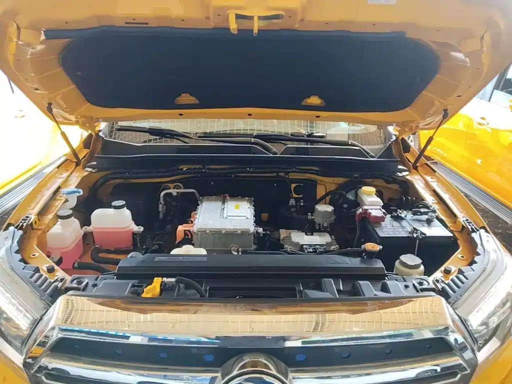 Dongfeng Rich 6 New Energy — миниатюра 20