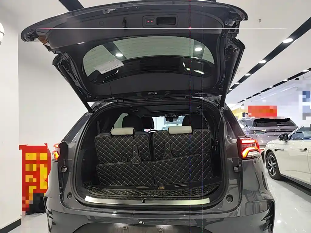 BYD Tang New Energy — миниатюра 19