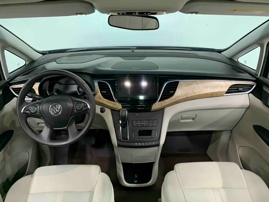 Buick GL8 — миниатюра 14