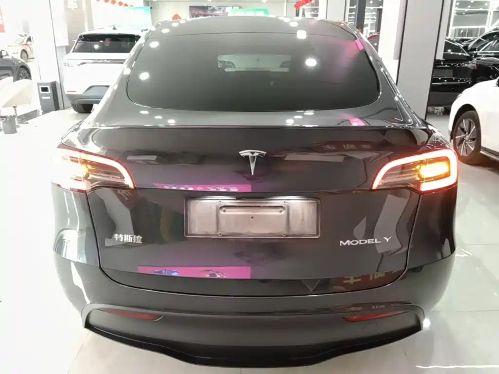 Tesla Model Y — миниатюра 6