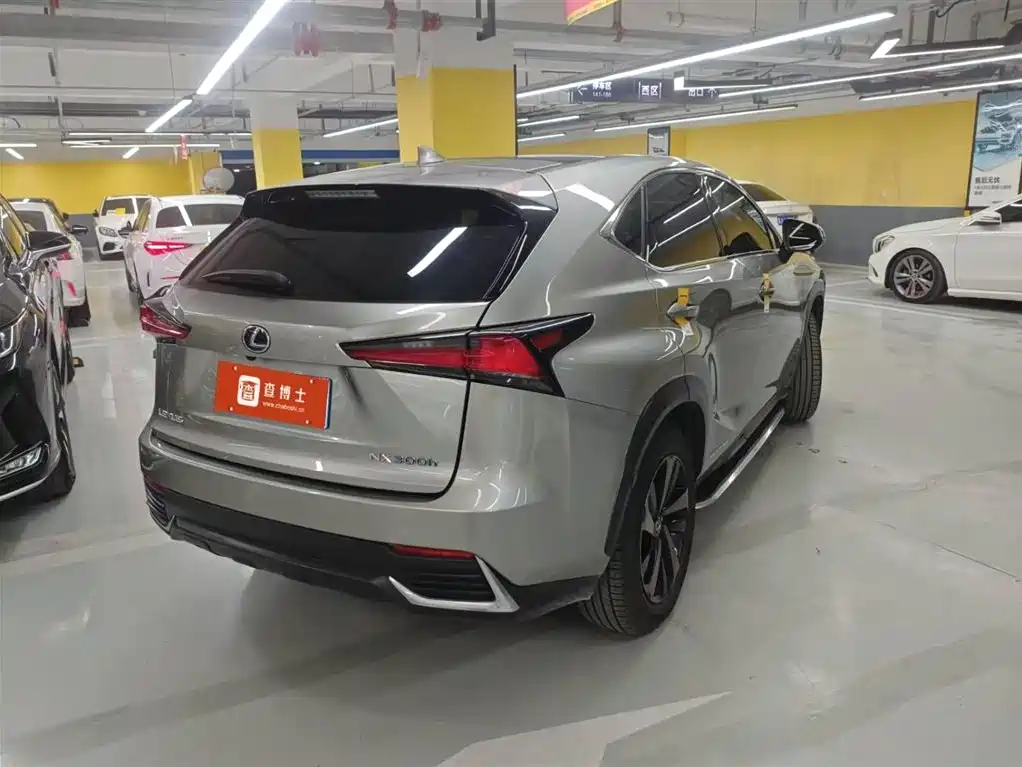 LEXUS NX