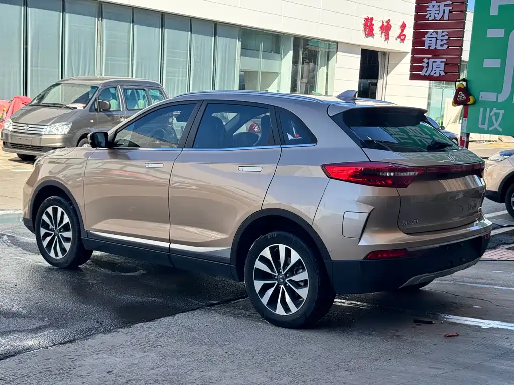 WM Motor EX5 — миниатюра 6