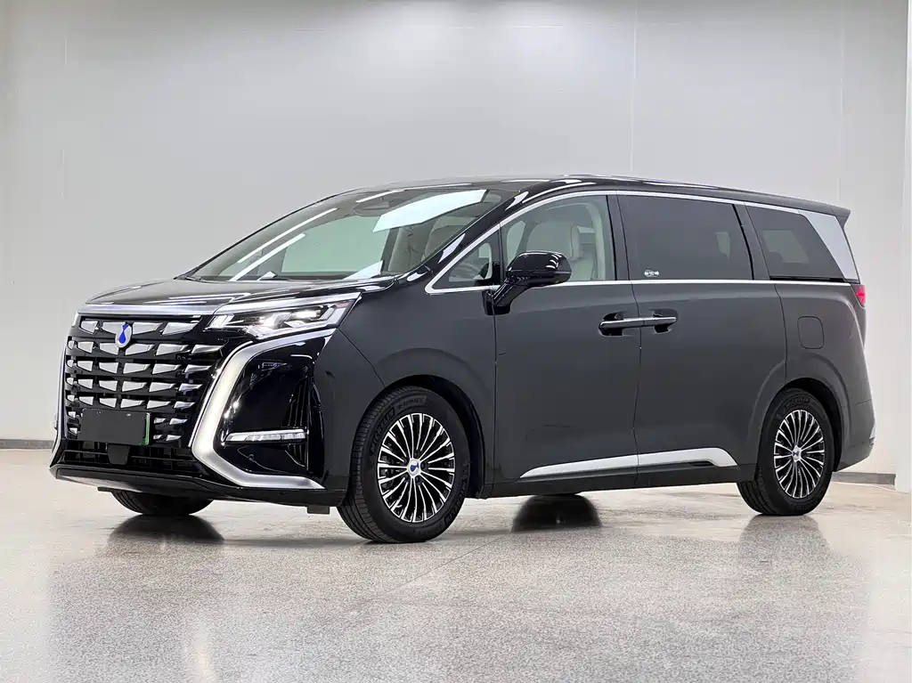 2024 Denza D9 - zdjęcie 1 z 36
