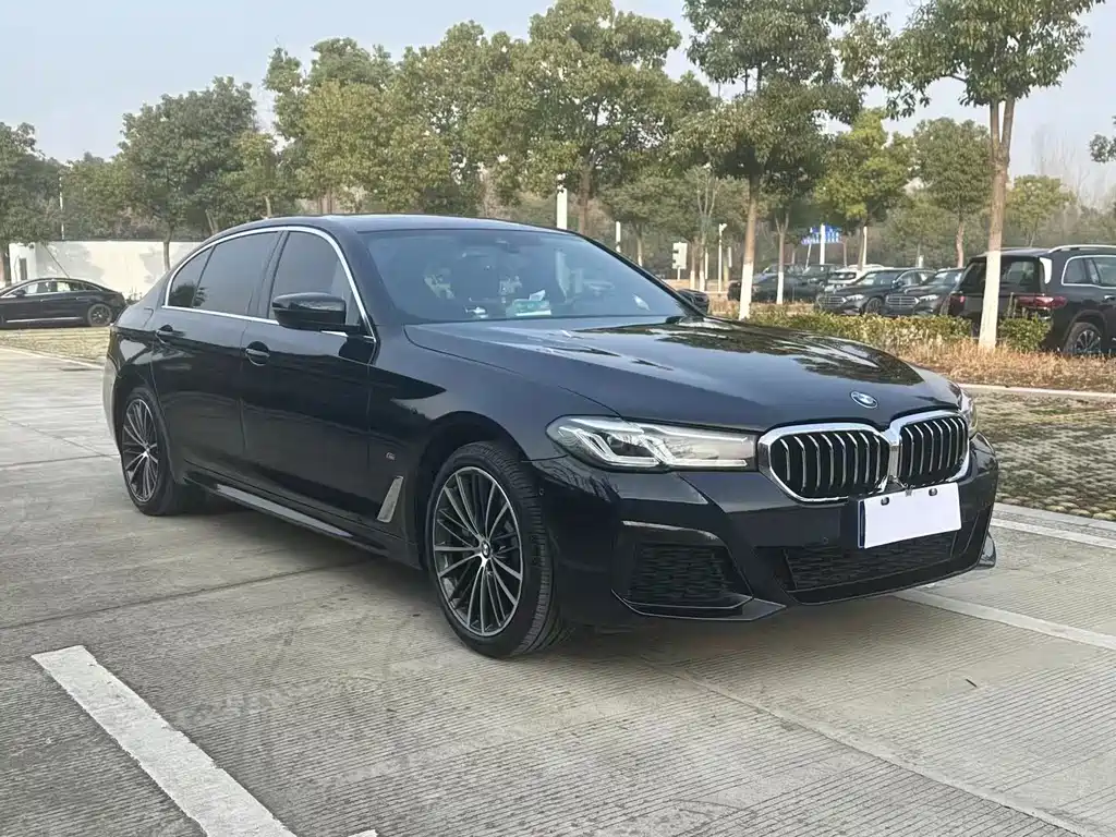 BMW 5 Series — миниатюра 3