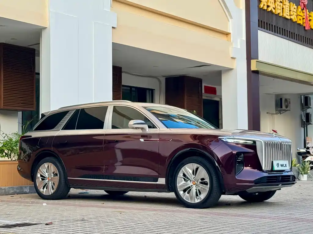 Hongqi E-HS9 2021 510km мест