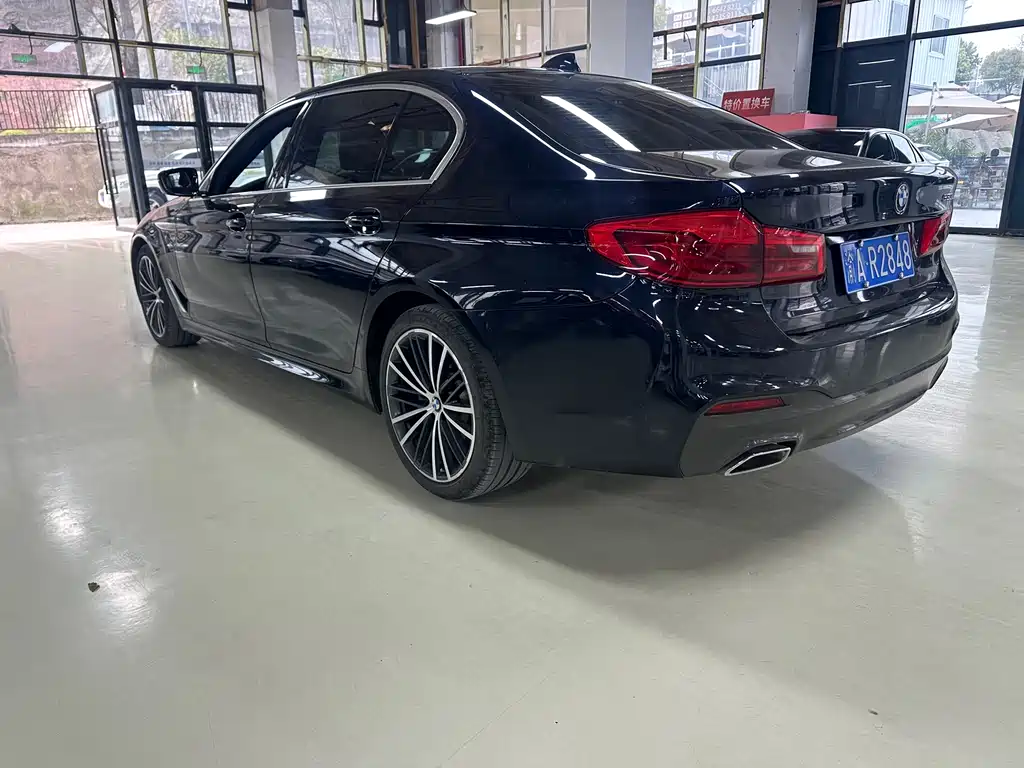 BMW 5 SERIES